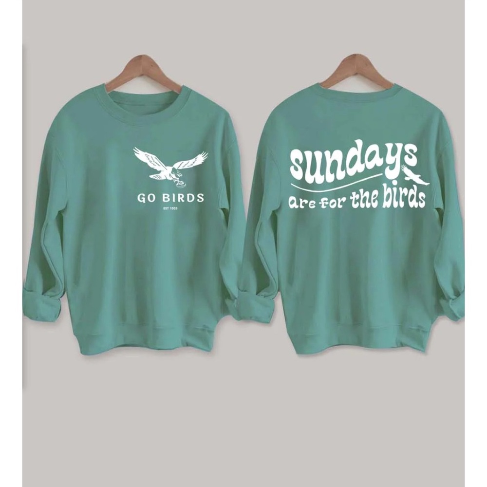 Philadelphia Eagles Women’s Sweatshirt, Go Birds, Football Medium - Picture 1 of 4
